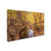 Trademark Fine Art Jason Shaffer 'Beaver Creek 5' Canvas Art, 30x47 JS0018-C3047GG